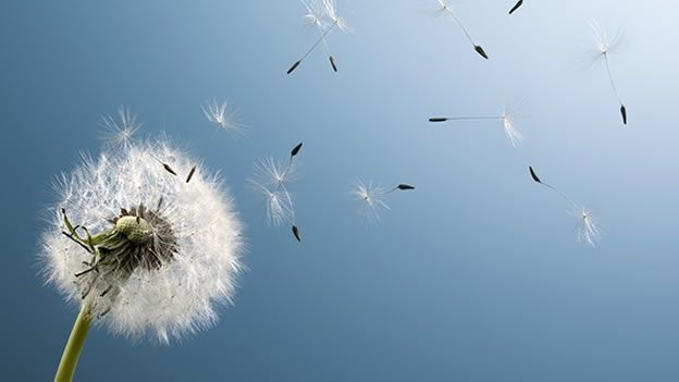 ÁCIDO HIPOCLOROSO: ayudando a personas con alergias y sensibilidades químicas múltiples