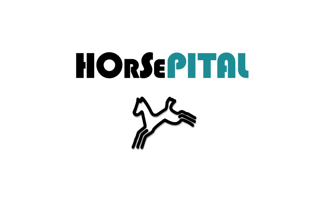 BrinaSan en Horsepital